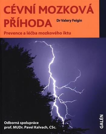 Cévní mozková příhoda - Valery Feigin