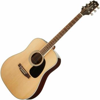 Takamine EF360GF Natural Elektroakustická kytara Dreadnought