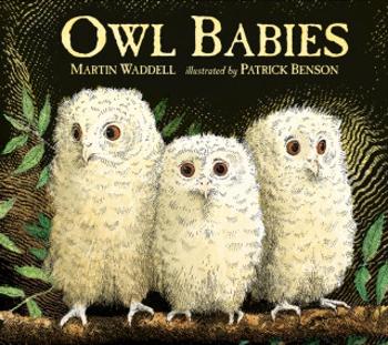 Owl Babies - Martin Waddell