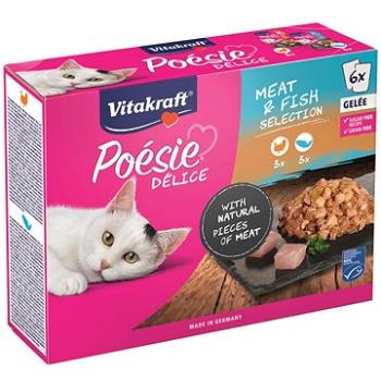 Vitakraft Cat mokré krmivo Poésie Délice Gelee Multipack losos,krůta 6 × 85g (4008239398758)