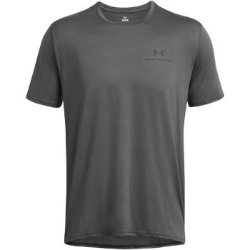 Under Armour VANISH ENERGY TEE Pánské triko, šedá, velikost