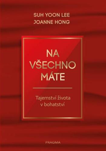 Na všechno máte - Tajemství života v bohatství - Suh Yoon Lee, Joanne Hong