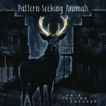 Pattern-Seeking Animals, PATTERN-SEEKING ANIMALS - Only Passing Through CD, CD
