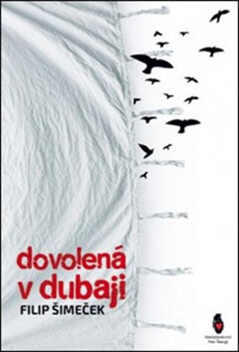 Dovolená v Dubaji - Filip Šimeček