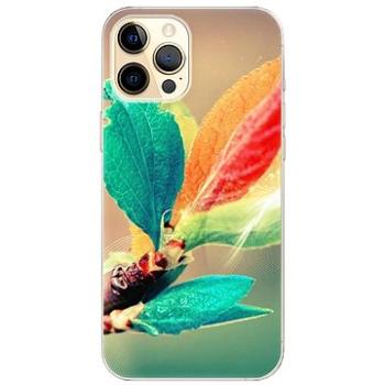 iSaprio Autumn pro iPhone 12 Pro Max (aut02-TPU3-i12pM)