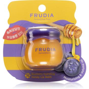 Frudia Honey Blueberry balzám na rty pro výživu a hydrataci 10 g