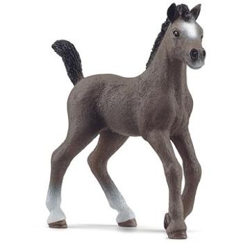 Schleich Hříbě plemene Selle Français (4059433578736)