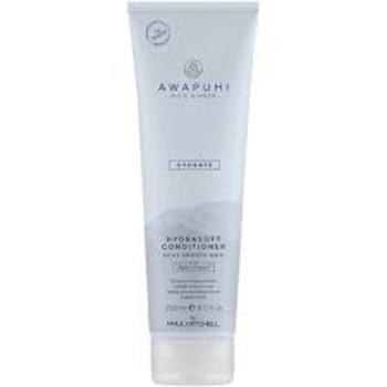 Paul Mitchell Hydratační kondicionér Awapuhi Wild Ginger (HydraSoft Conditioner) 250 ml