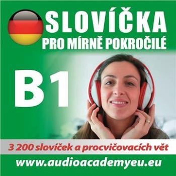 Němčina - slovíčka B1 ()