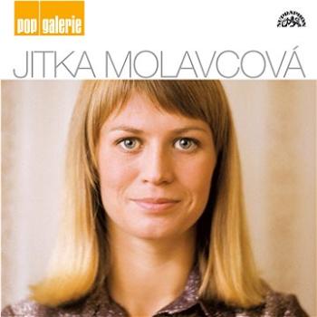 Molavcová Jitka: Pop galerie (SU5960-2)