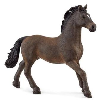 Schleich Zvířátko - hřebec oldenburský 13946 (4059433379487)