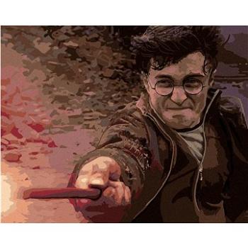 Harry Potter v souboji s Voldemortem, 40×50 cm, vypnuté plátno na rám (6066651)