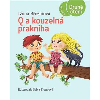 Q a kouzelná prakniha (978-80-000-6900-5)