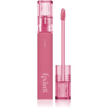 ETUDE Fixing Tint dlouhotrvající rtěnka s matným efektem odstín #10 Smoky Cherry 4 g