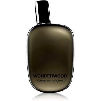 Comme des Garçons Wonderwood parfémovaná voda pro muže 50 ml