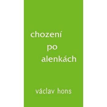 Chození po alenkách (978-80-87573-33-4)