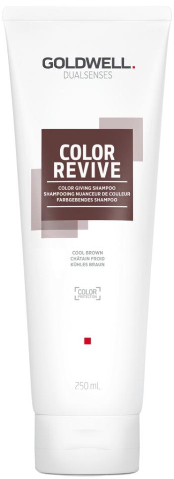 Goldwell Šampon pro oživení barvy vlasů Cool Brown Dualsenses Color Revive (Color Giving Shampoo) 250 ml