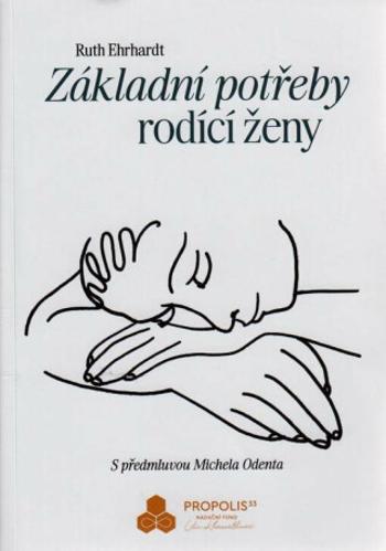 Základní potřeby rodící ženy - Ruth Ehrhardt