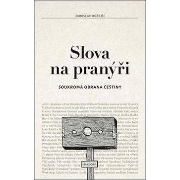 Slova na pranýři (978-80-7345-547-7)