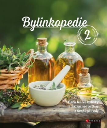 Bylinkopedie 2 - Martin Chvapil - e-kniha