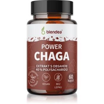 Blendea Chaga Extrakt kapsle s antioxidačním účinkem 60 cps