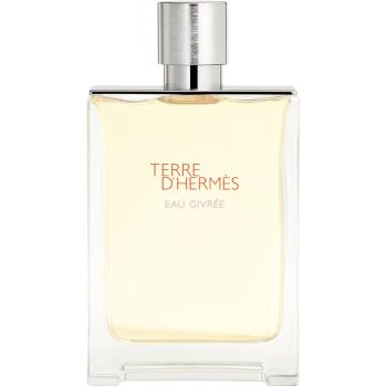 HERMÈS Terre d’Hermès Eau Givrée parfémovaná voda pro muže 175 ml