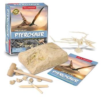 Pterosaur Dinosaur Toy Fosilní výkopová sada (D7148)