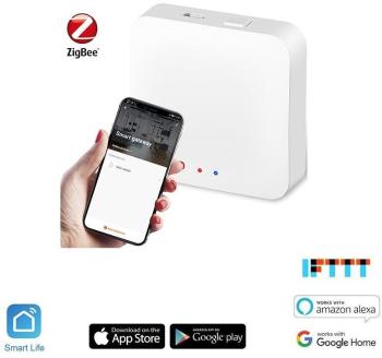 Detektor iQtech Smartlife GW002