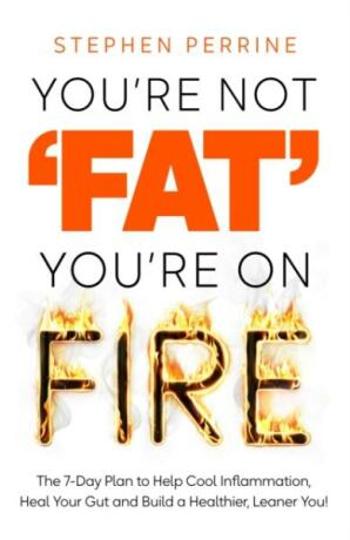 You're Not 'Fat', You're On Fire - Stephen Perrine