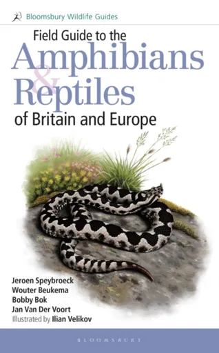 Field Guide to the Amphibians and Reptiles of Britain and Europe - Bobby Bok, Wouter Beukema, Jeroen Speybroeck, Jan Van Der Voort