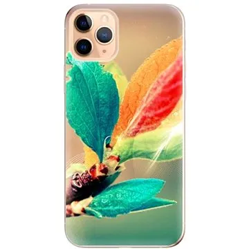 iSaprio Autumn pro iPhone 11 Pro Max (aut02-TPU2_i11pMax)
