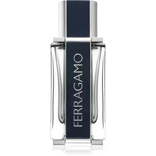 Ferragamo Ferragamo toaletní voda pro muže 50 ml
