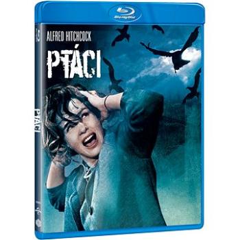 Ptáci - Blu-ray (U00466)