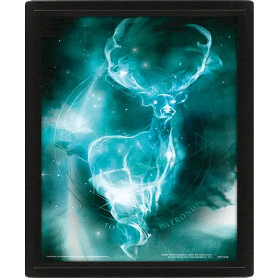 3D obraz Harry Potter - Patron