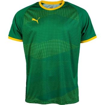 Puma KC LIGA JERSEY GRAPHIC Pánský fotbalový dres, zelená, velikost