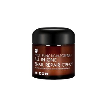 Mizon Repair Cream All In One pleťový krém 75 ml