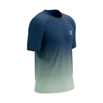 Compressport PERFORMANCE SS TSHIRT Pánské běžecké triko, modrá, velikost