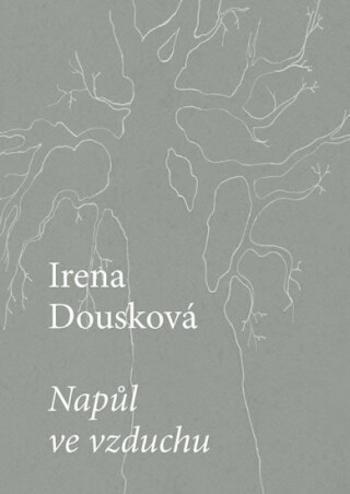 Napůl ve vzduchu - Irena Dousková