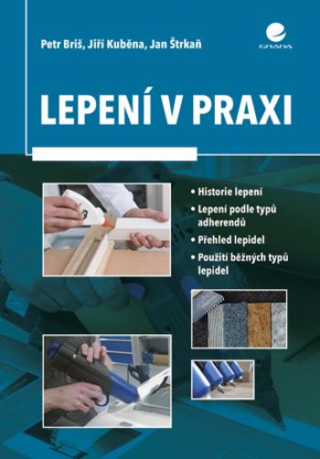 Lepení v praxi - Jiří Kuběna, Briš Petr, Štrkaň Jan - e-kniha