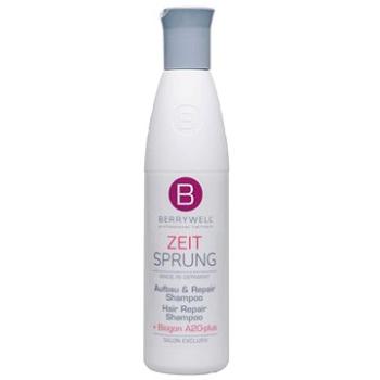 BERRYWELL Zeit Sprung Hair Repair Shampoo 251 ml (4011669329551)