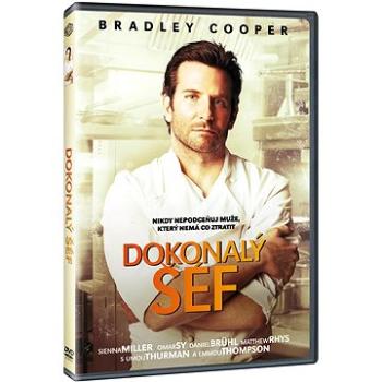 Dokonalý šéf - DVD (N01682)