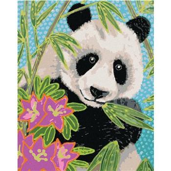 Zuty - Malování podle čísel - PANDA S BAMBUSEM A KVĚTINAMI, 80x100 cm, vypnuté plátno na rám (HRAmmb11279nad)