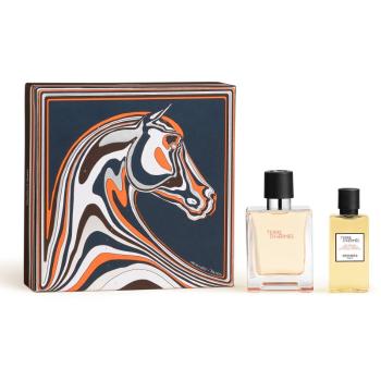 HERMÈS Terre d’Hermès Set dárková sada pro muže