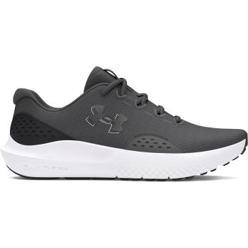 Under Armour Charged Surge 4 41