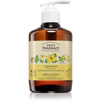 Green Pharmacy Celandine Hand Soap tekuté mýdlo 460 ml