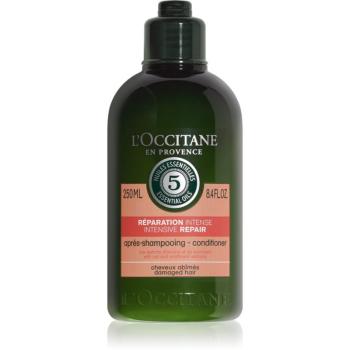 L’Occitane Aromachologie regenerační kondicionér pro suché a poškozené vlasy 250 ml