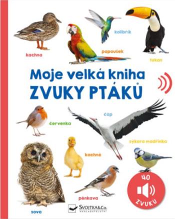 Moje velká kniha Zvuky ptáků