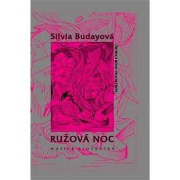 Ružová noc (978-80-8128-232-4)