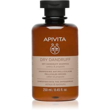 Apivita Dandruff Dry Dandruff Shampoo šampon proti lupům 250 ml