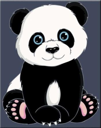 Zuty Malování podle čísel Panda